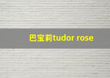 巴宝莉tudor rose